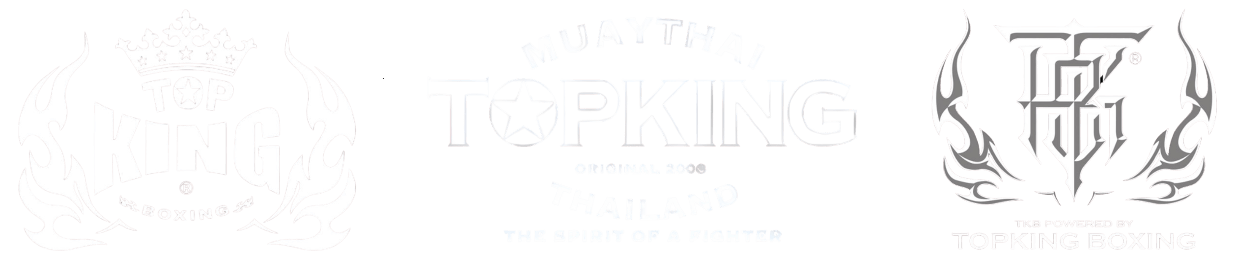 brand-logo1